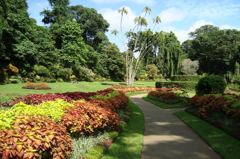 Sri Lanka, Kandy, Royal Botanical Garden